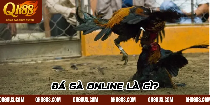 Đá gà online là gì?